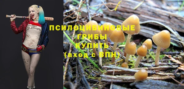 ALPHA PVP Балахна